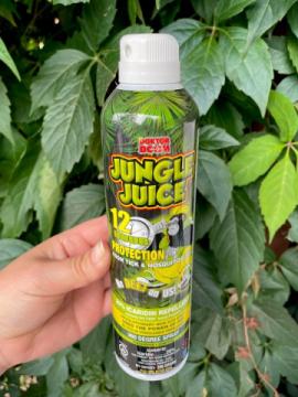 Bloom Where You're Planted: Transform Your Space with Bill Martin's Nurseryland