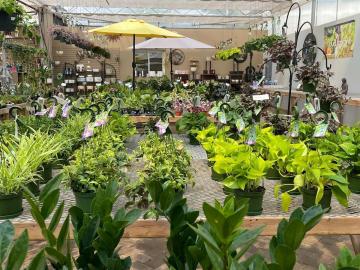 Bloom Where You're Planted: Transform Your Space with Bill Martin's Nurseryland