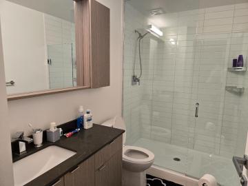 Pet Friendly Luxury Apt - Village of Bronte - Feb 1, 2026 $3,152.00 with Extras