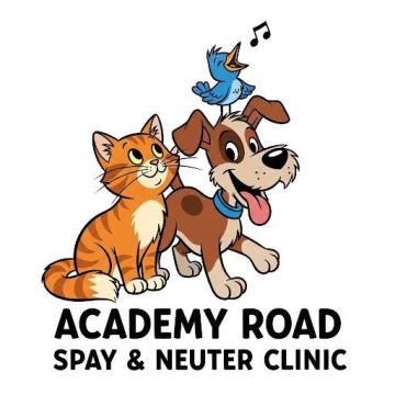 Are you looking for a veterinary team that treats your pet like family?